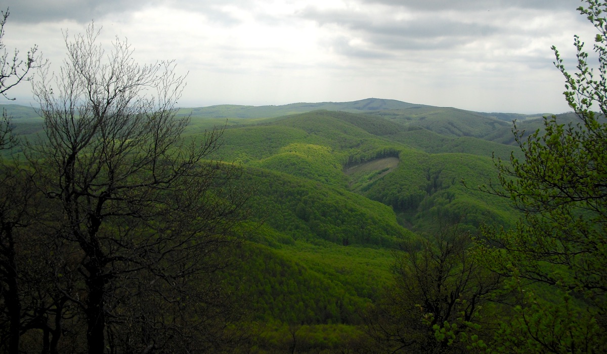 Malokarpatská Vysoká
