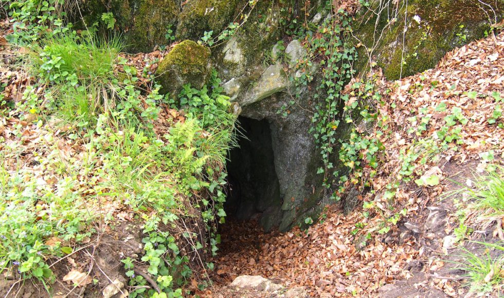 Jaskyňa Mara medvedia