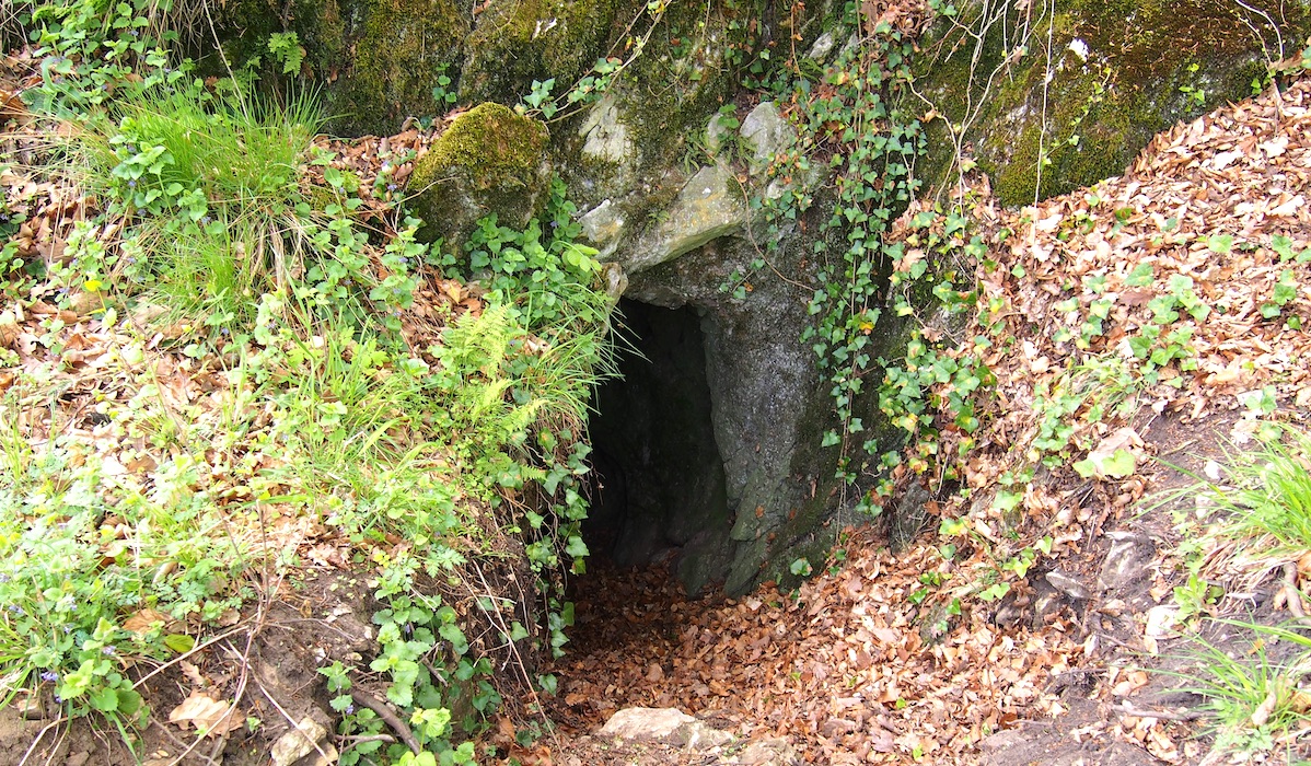Jaskyňa Mara medvedia