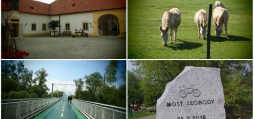 Z Bratislavy na zámok Schlosshof