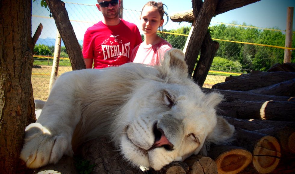 Kontaktná Zoo Liptov