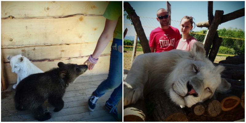 Kontaktná Zoo Liptov