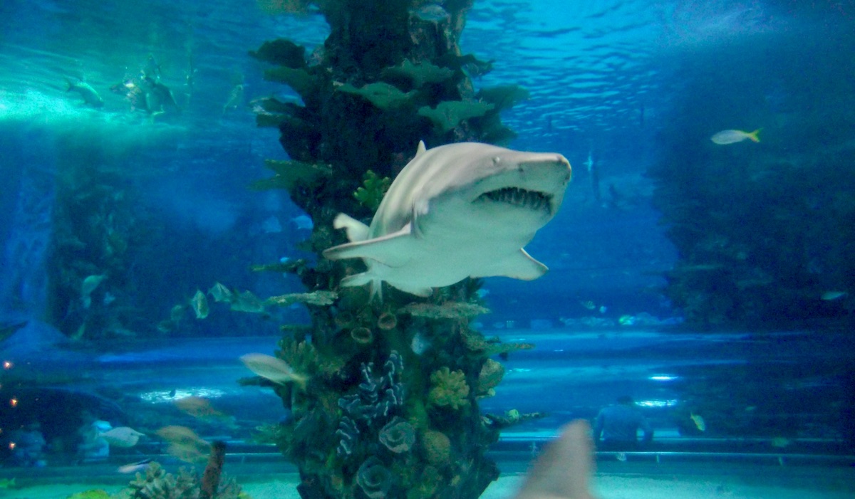 Tropicarium Ocenarium Budapešť