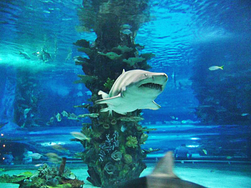 Tropicarium Ocenarium Budapešť