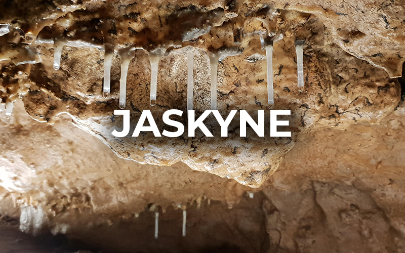 Jaskyne
