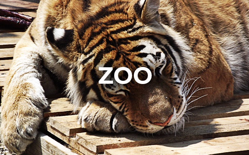 Zoo