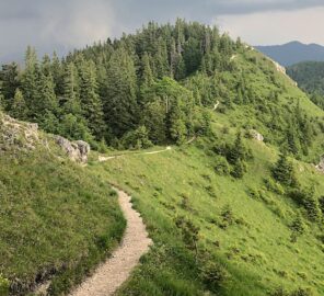 Tlstá a Ostrá