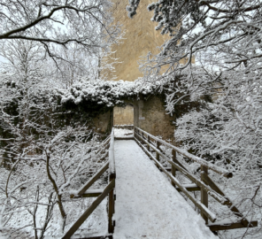 Zrúcanina hradu Rauheneck