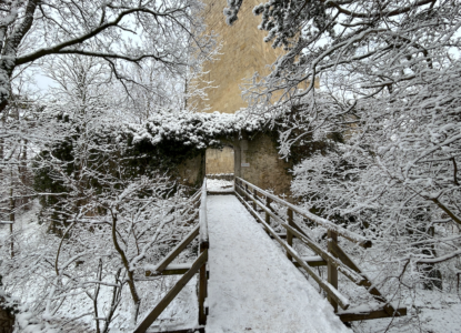 Zrúcanina hradu Rauheneck