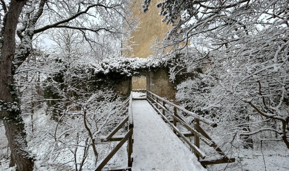 Zrúcanina hradu Rauheneck