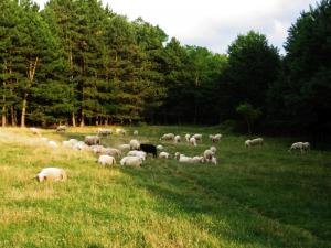 Biofarma Príroda v Stupave