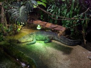 Tropicarium Ocenarium Budapešť