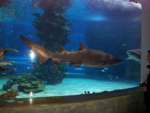 Tropicarium Ocenarium Budapešť