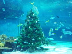 Tropicarium Ocenarium Budapešť