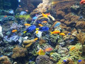 Tropicarium Ocenarium Budapešť
