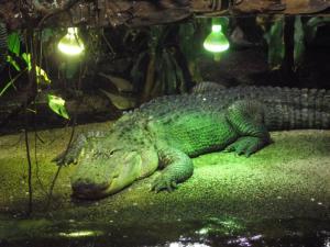 Tropicarium Ocenarium Budapešť