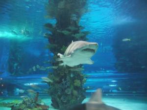 Tropicarium Ocenarium Budapešť